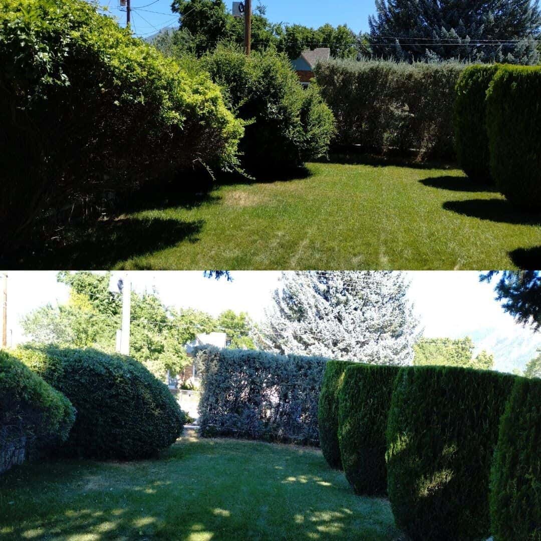 Sod Installation | Landscaping | Tree Trimming | Sprinkler Repair & Installation | And More!