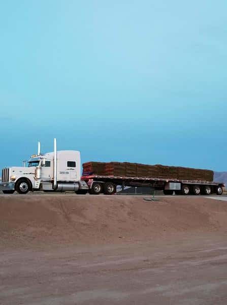 BAREFOOT FRIENDLY SOD...